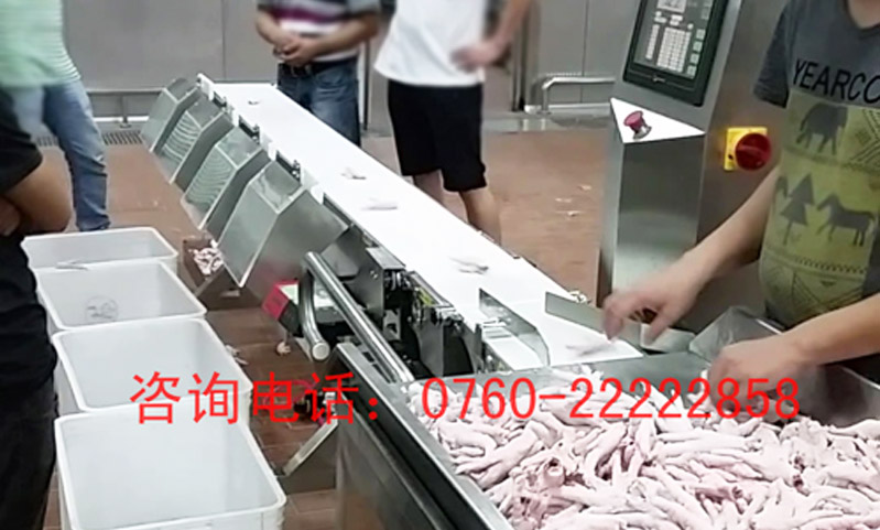 雞爪重量分選秤應(yīng)用案例 雞爪重量分選秤應(yīng)用案例