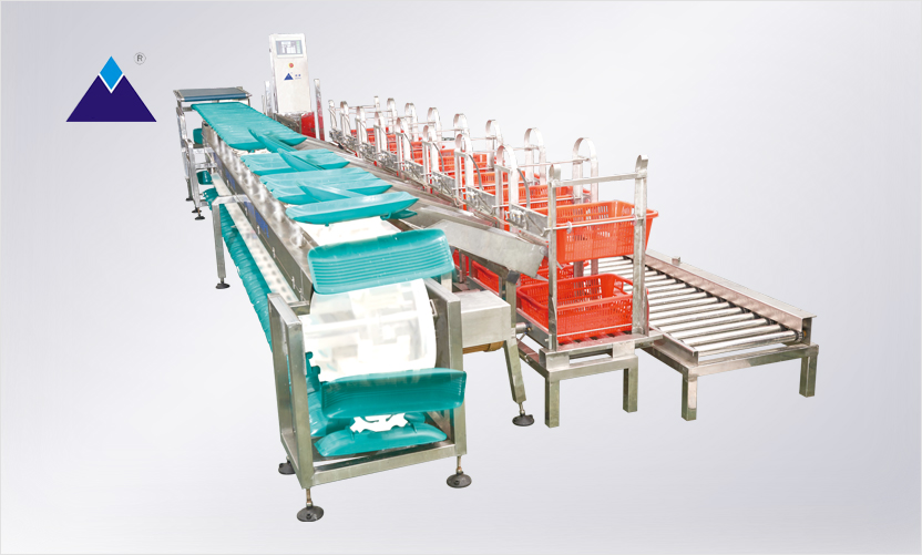 鮮魚全自動(dòng)上料稱重分級(jí)機(jī) 鮮魚全自動(dòng)上料稱重分級(jí)機(jī)